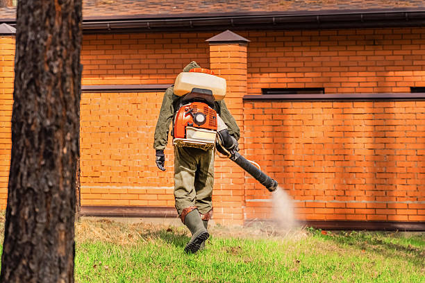 Trusted Bed Bug Control service in Kirbyville, TX - Nex Pest Control